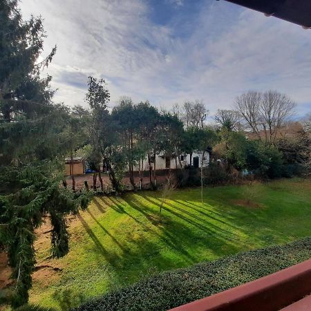 Duplex T3 Avec Terrasses Et Parking, Proche Plages Et Commerces A Anglet - Fr-1-239-859 Extérieur photo